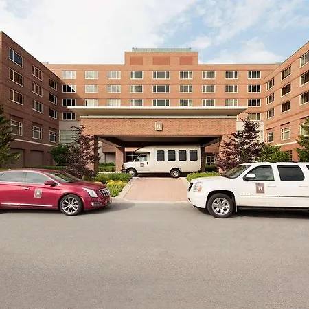 The H Hotel 